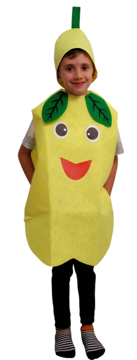 Costum din fetru copii fructe si legume Para [1]