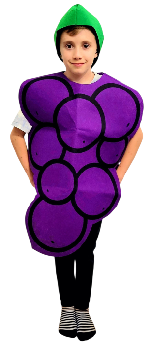 Costum din fetru copii fructe si legume Strugure [1]