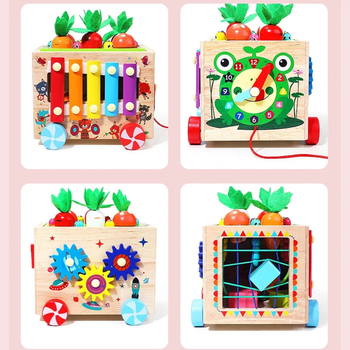 Cub Montessori din lemn pe roti cu activitati educative 18 luni+ [5]