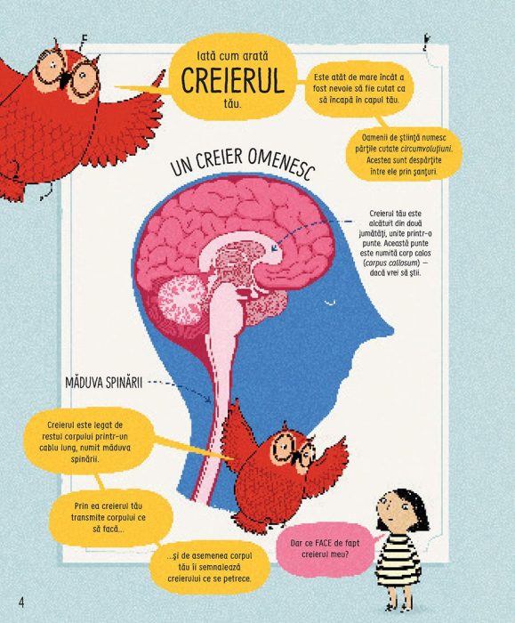 Cum functioneaza creierul uman (Usborne) [4]