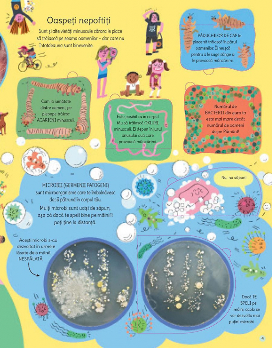 Descopera lumea microscopica (Usborne) [5]