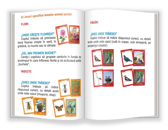 Flori, păsări și insecte [2]