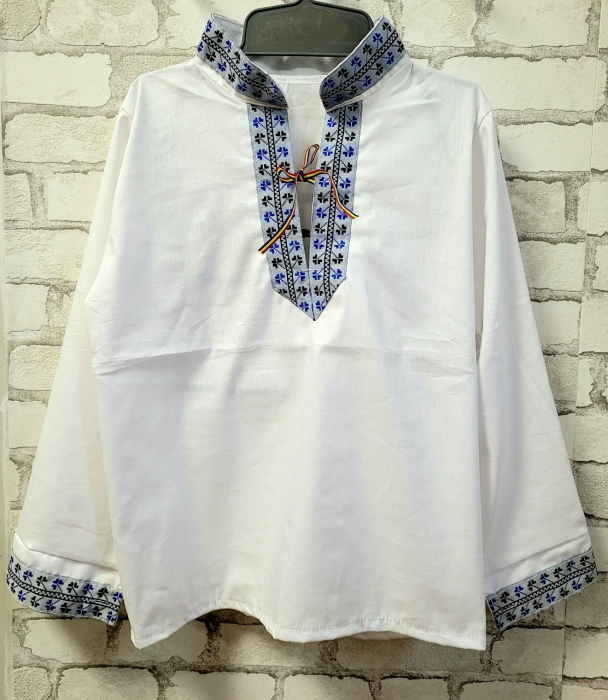 Ie baieti LUPTATORUL [1]