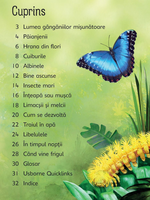 Insectele (Usborne) [7]