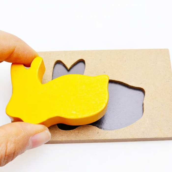 Joc din lemn obiecte si umbra lor Puzzle Blocks [4]