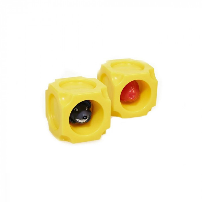 Joc educativ IQ Booster - Say Cheese [5]
