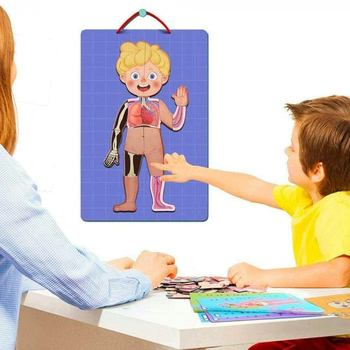 Joc educativ tip puzzle magnetic corpul uman in straturi [2]