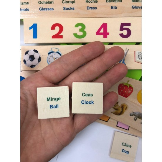 Joc Montessori de sortare și asociere imagini - Knowledge classification box în limba română [9]