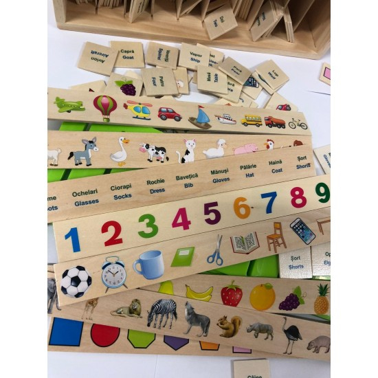 Joc Montessori de sortare și asociere imagini - Knowledge classification box în limba română [8]