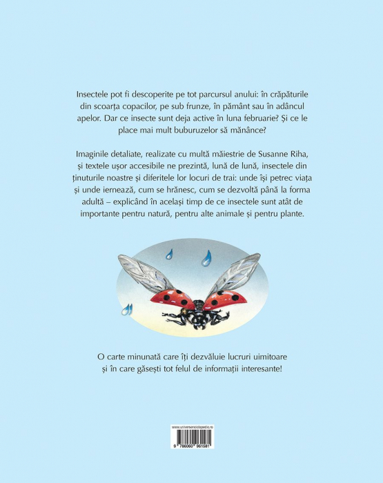 Lumea uimitoare a insectelor [5]