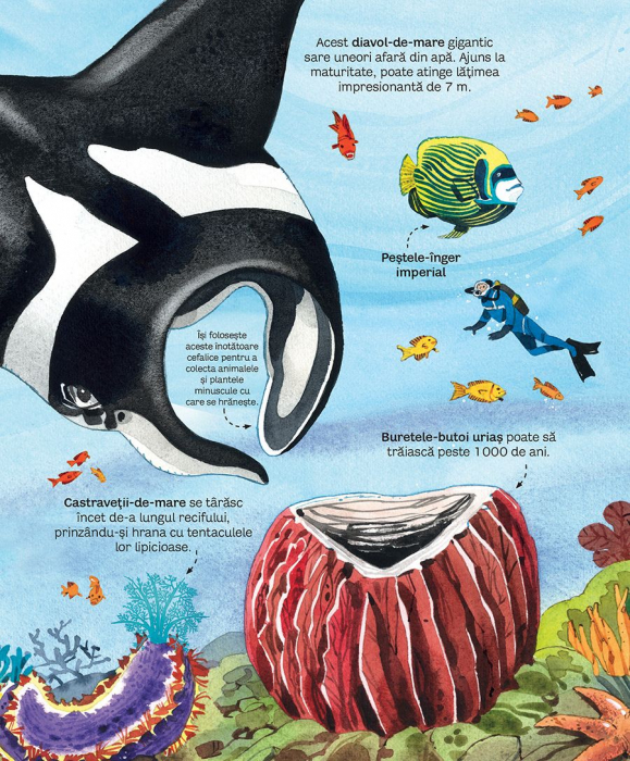 Marea carte a animalelor din mari si oceane (Usborne) [3]