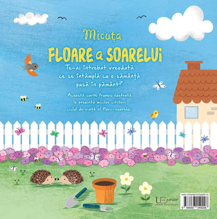 Micuta floare a soarelui [7]