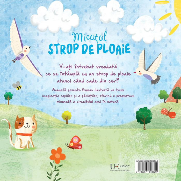 Micutul strop de ploaie [6]