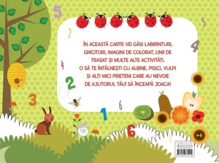 Ne jucam si invatam. Cartea de activitati pentru copii isteti [2]