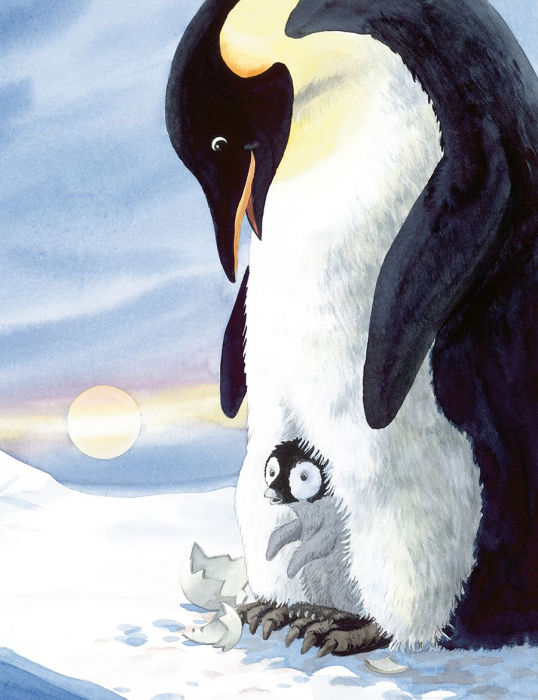 Pele, micul pinguin [2]