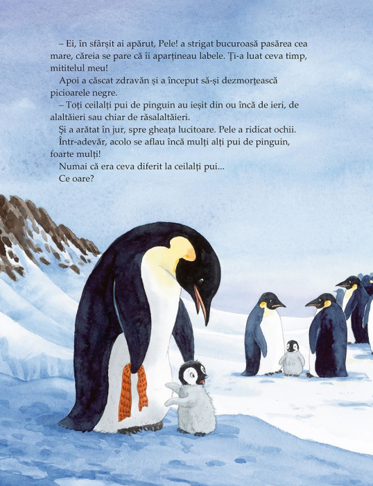Pele, micul pinguin [3]
