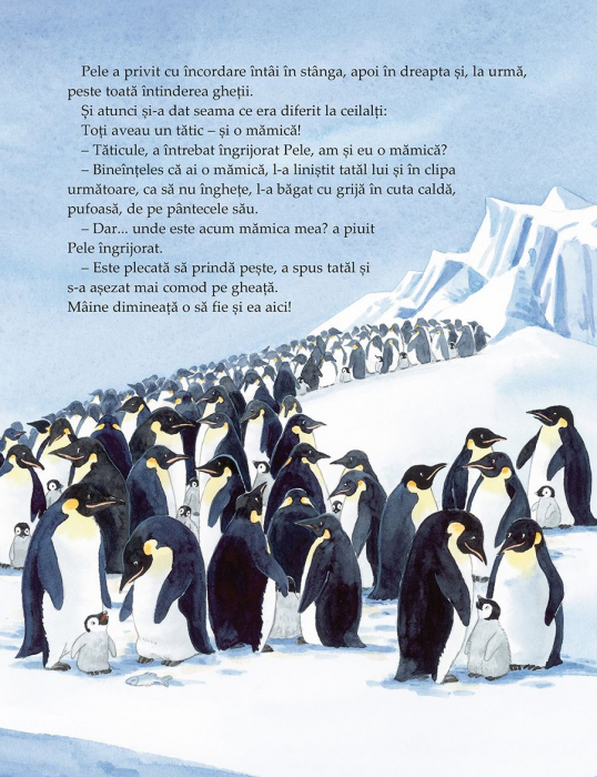 Pele, micul pinguin [4]