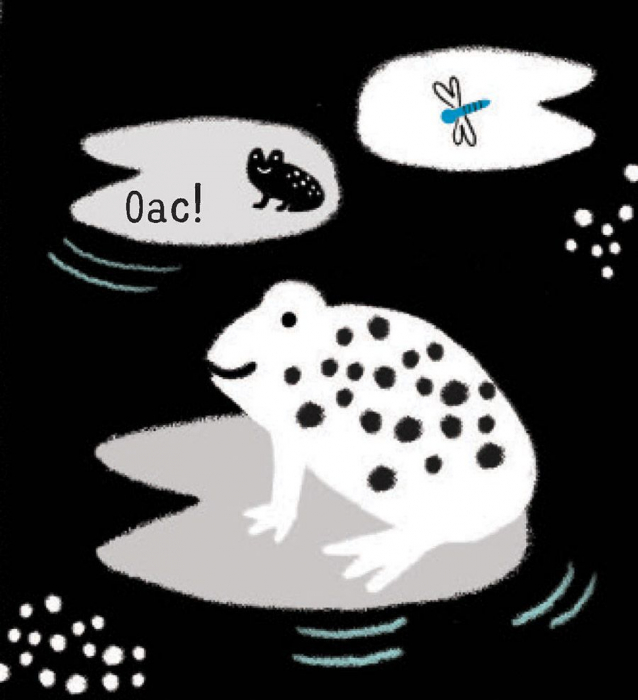 Primele mele carti Alb&Negru - Animalele (Usborne) [5]