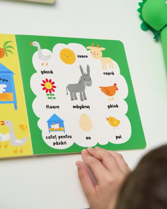 Primele mele cuvinte. La ferma (Usborne) [4]