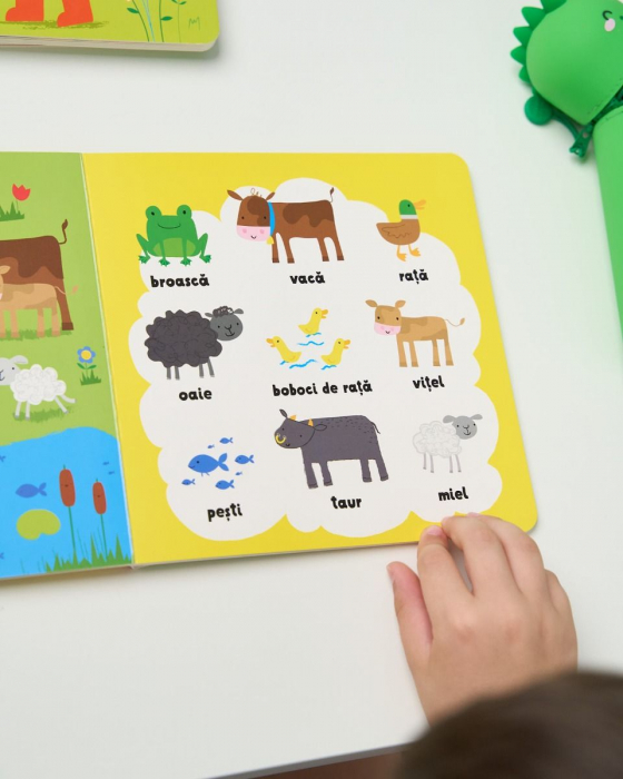 Primele mele cuvinte. La ferma (Usborne) [5]
