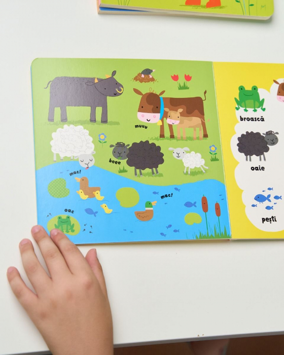 Primele mele cuvinte. La ferma (Usborne) [6]