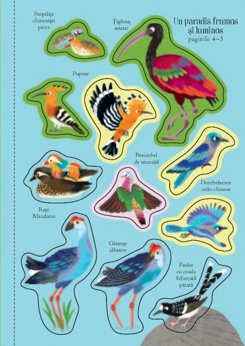 Primele mele stickere: In lumea pasarilor (Usborne) [7]