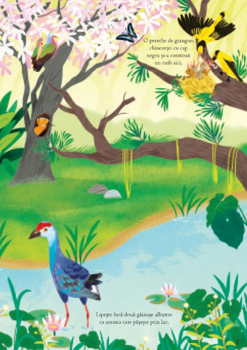 Primele mele stickere: In lumea pasarilor (Usborne) [5]
