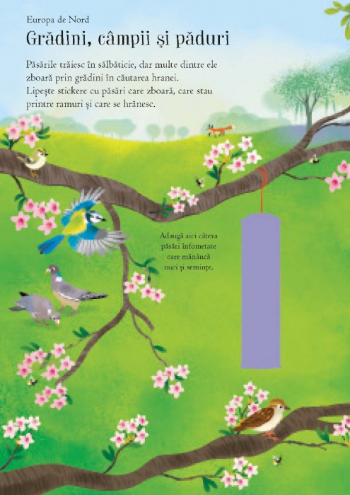 Primele mele stickere: In lumea pasarilor (Usborne) [2]