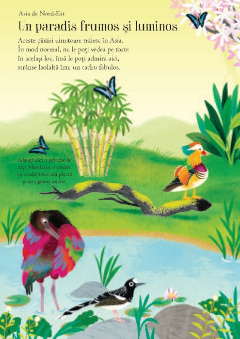 Primele mele stickere: In lumea pasarilor (Usborne) [4]