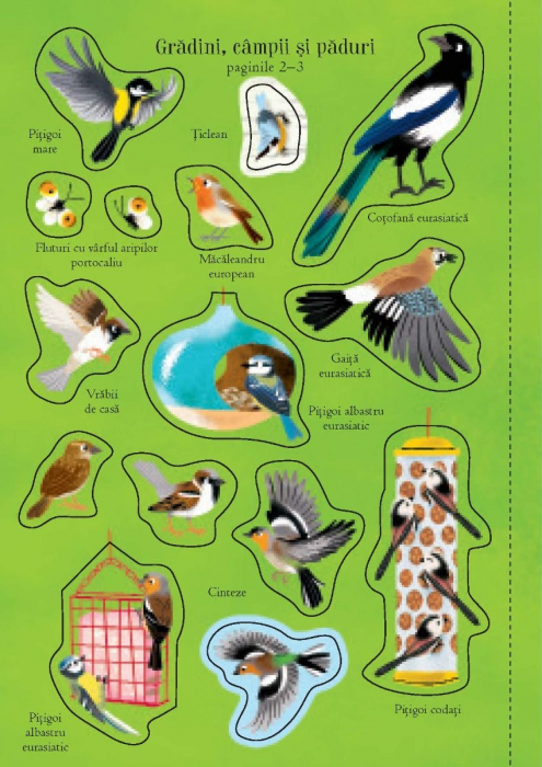 Primele mele stickere: In lumea pasarilor (Usborne) [6]