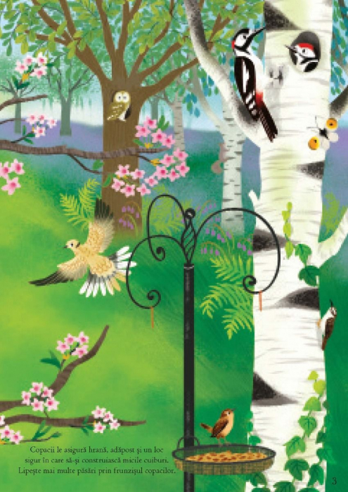 Primele mele stickere: In lumea pasarilor (Usborne) [3]