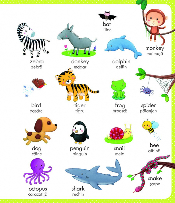 Primul meu dictionar englez-roman (Usborne) [4]