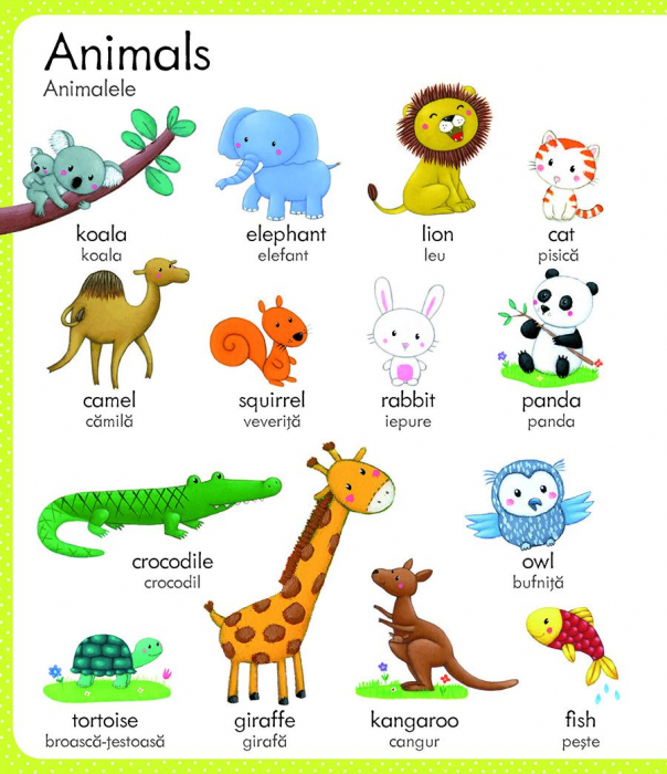 Primul meu dictionar englez-roman (Usborne) [3]