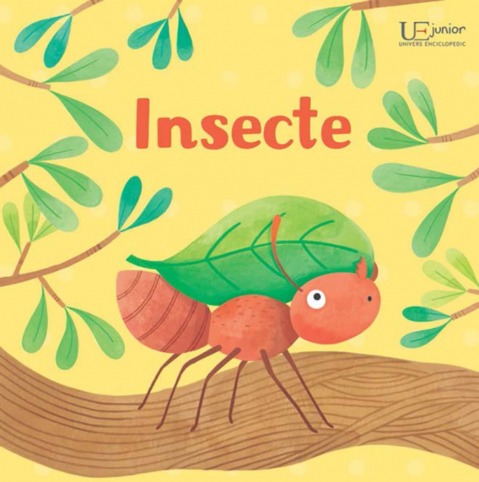 Primul meu puzzle cu carte. Insecte (Usborne) [2]