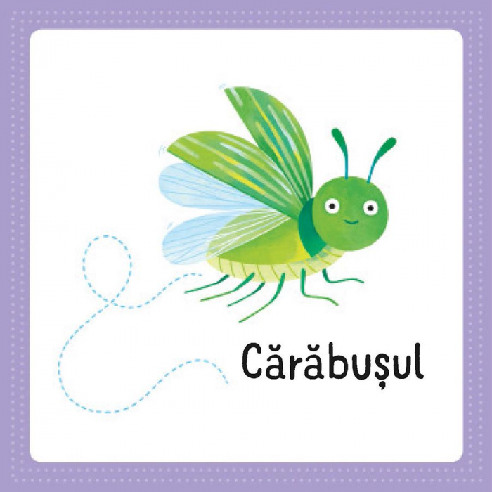 Primul meu puzzle cu carte. Insecte (Usborne) [3]