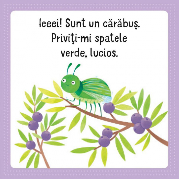 Primul meu puzzle cu carte. Insecte (Usborne) [4]