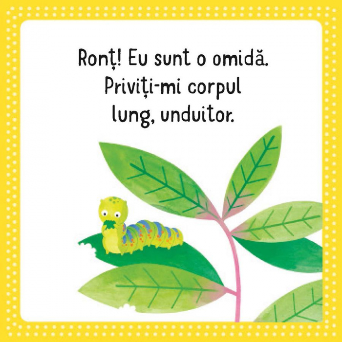 Primul meu puzzle cu carte. Insecte (Usborne) [6]