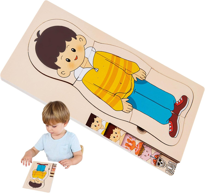 Puzzle din lemn în straturi Anatomia Corpului uman - BĂIAT [6]