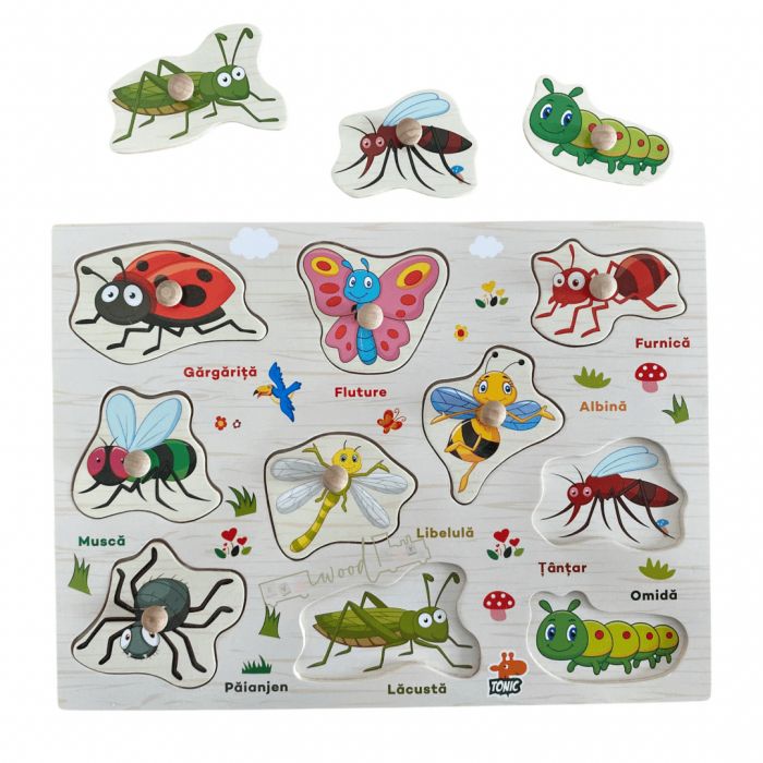 Puzzle incastru din lemn cu butoni - insecte in limba romana [2]