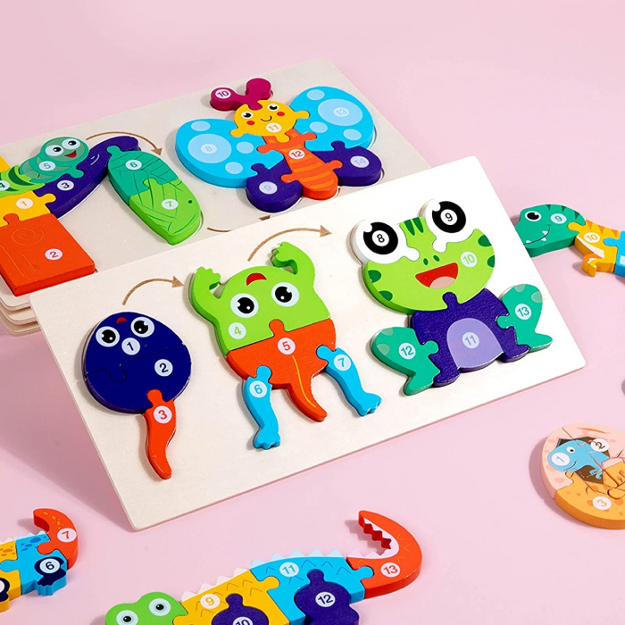 Puzzle incastru din lemn in relief evolutia speciei BROASCA [2]