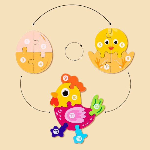 Puzzle incastru din lemn in relief evolutia speciei RATA [2]