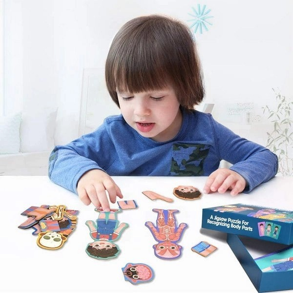 Puzzle INVATA STRUCTURA CORPULUI UMAN baiat [5]