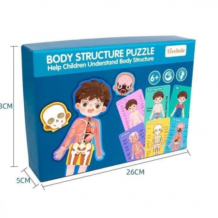 Puzzle INVATA STRUCTURA CORPULUI UMAN baiat [6]