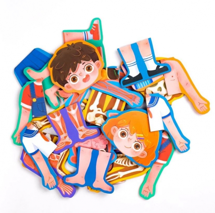 Puzzle INVATA STRUCTURA CORPULUI UMAN baiat [4]