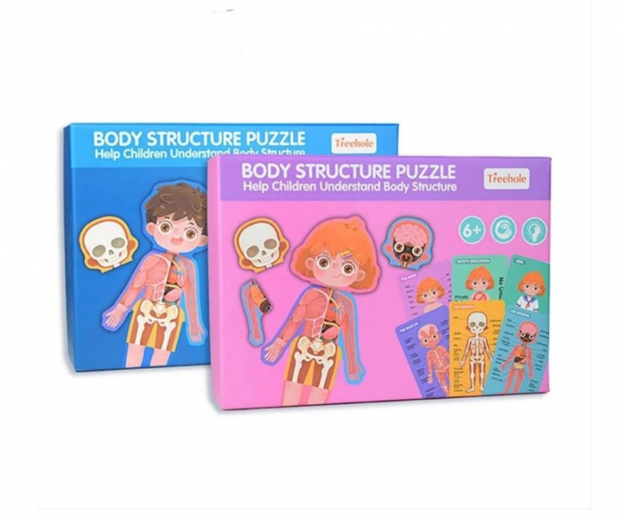 Puzzle INVATA STRUCTURA CORPULUI UMAN fata [5]