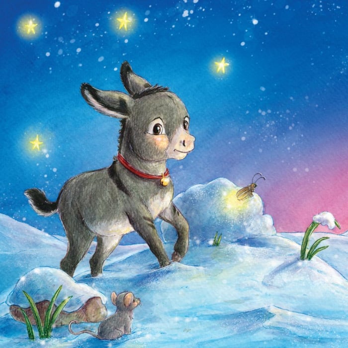 Sa urmam steaua de Craciun [3]