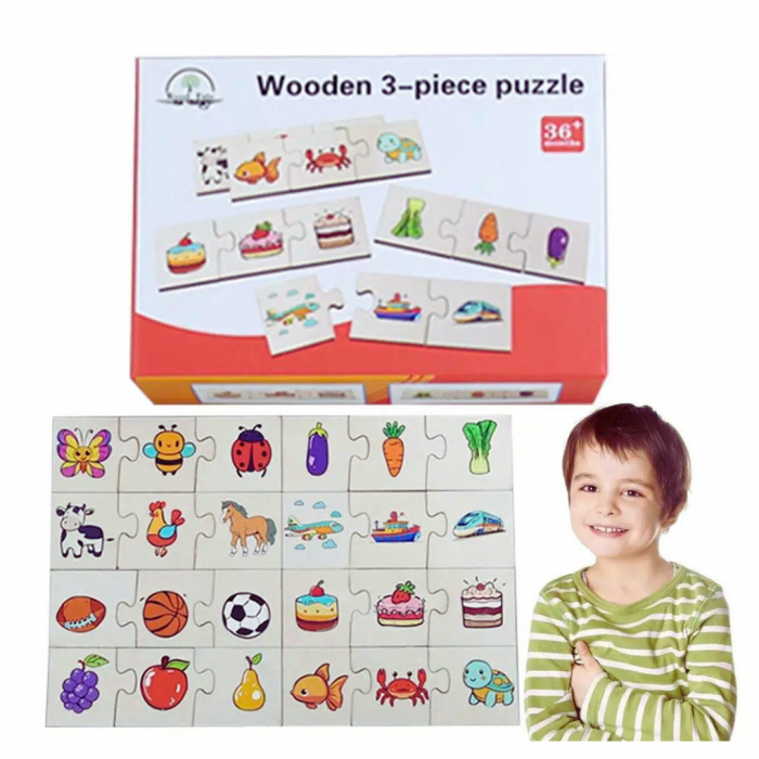 Set puzzle din lemn din 3 piese categorii de obiecte [1]