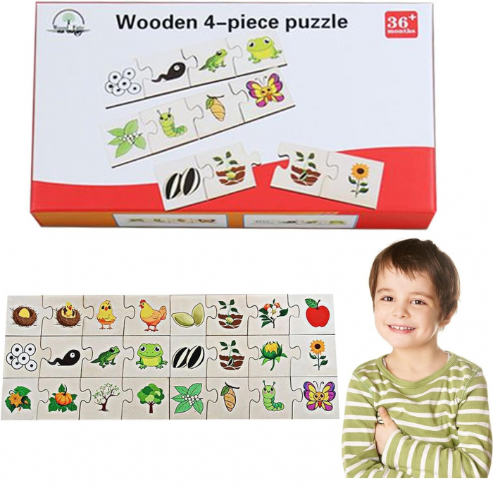 Set puzzle din lemn din 4 piese evolutia speciei [2]