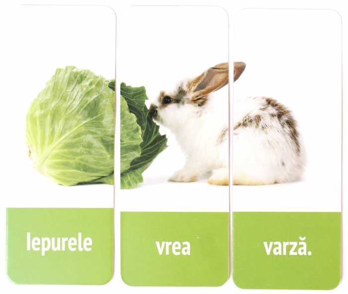 TRIOPUZZLE. Propoziții din trei cuvinte [2]