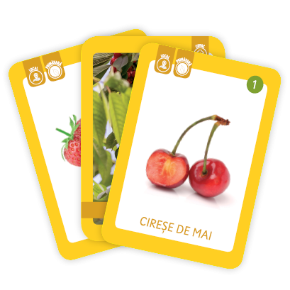 Unde cresc fructele? [3]